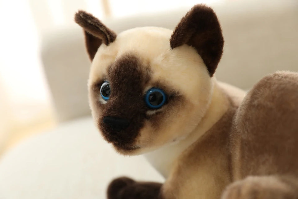 25-40 cm Simulation Cat Plush Toys American Shorthai Siamese Kitty Cute Pet Doll Stuffed Animal Children Home Decor Baby Gift