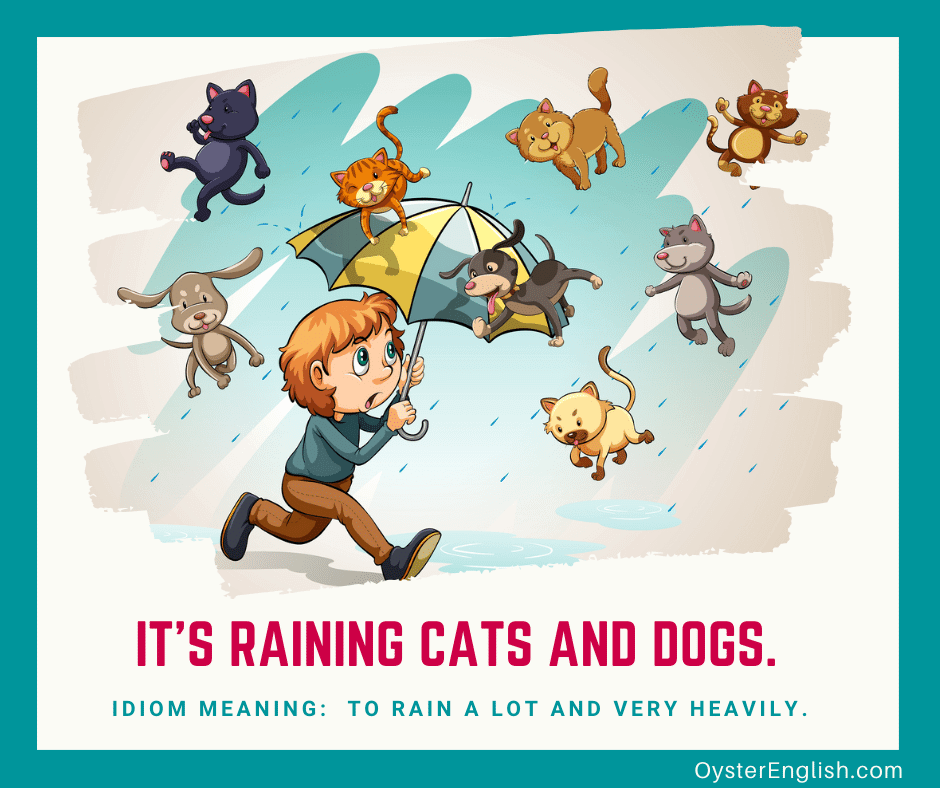 How Other Languages Say “It’s Raining Cats and Dogs”
